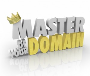 domain name